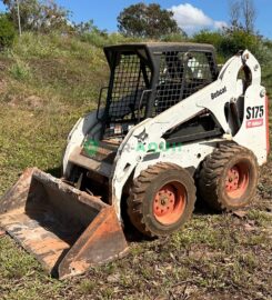 Minicarregaddeira, Bob Cat @175