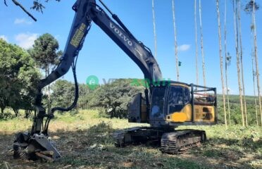 Escavadeira Florestal, Colco EC220