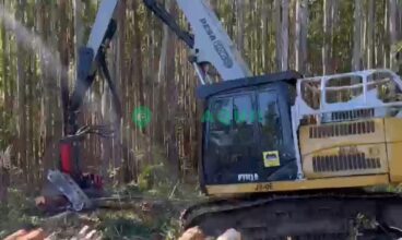 Escavadeira Florestal, Caterpillar PTH 318