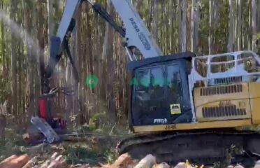 Escavadeira Florestal, Caterpillar PTH 318