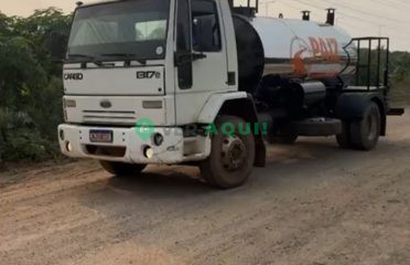 Caminhão Espargidor, Ford 1317