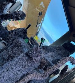 Escavadeira Hidráulica, Caterpillar 320DL